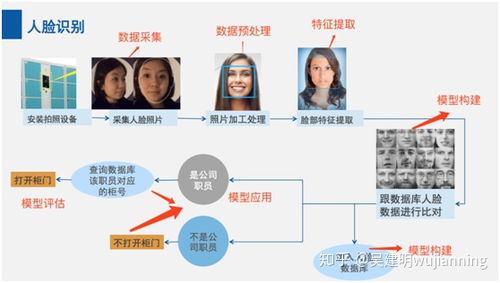 人工智能的三层基本架构与几种常见软件架构解析