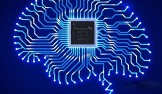 加速人工智能在边缘计算中的开发与应用 AI基础软件的关键突破——英特尔深度学习专场研讨会报名启动